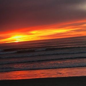 Meet your Posher, Savanna